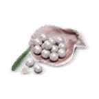 6000 Echo