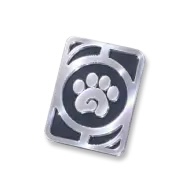 Advanced Companion Handbook