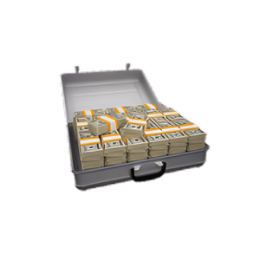 25000 Credits