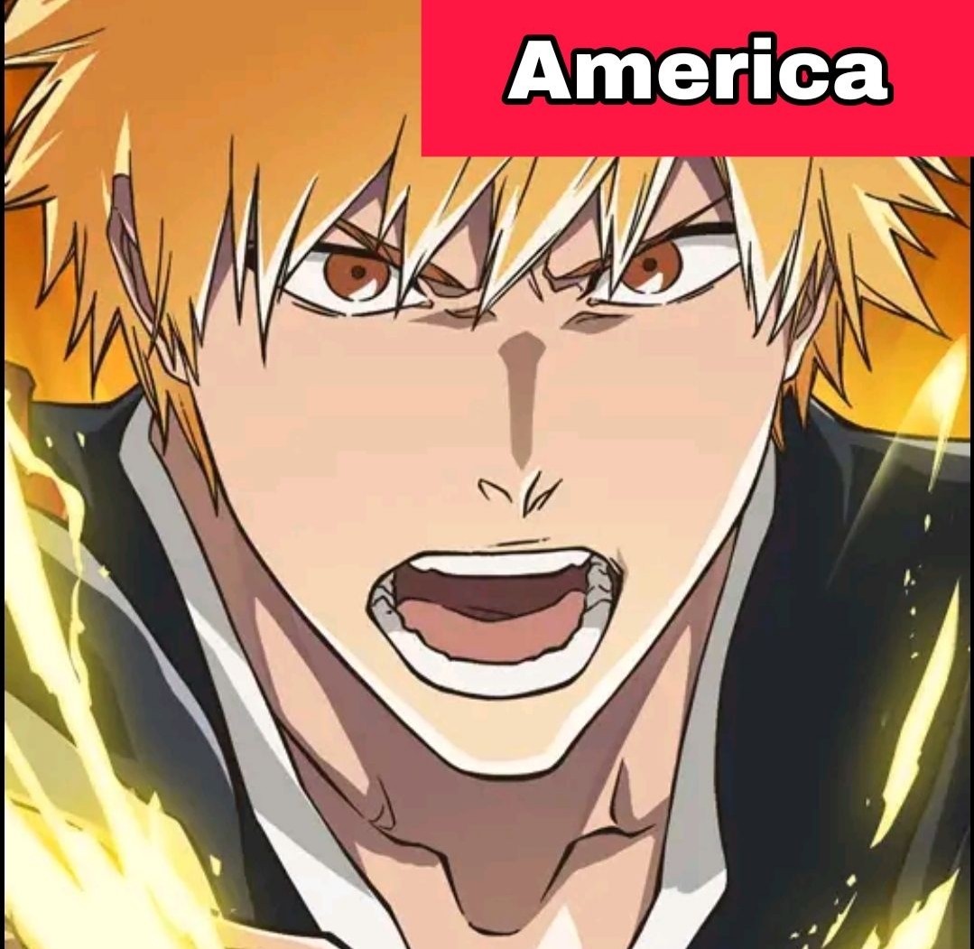 Bleach: Soul Resonance America 
