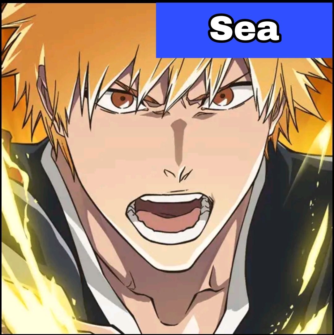BLEACH:Soul Resonance Sea
